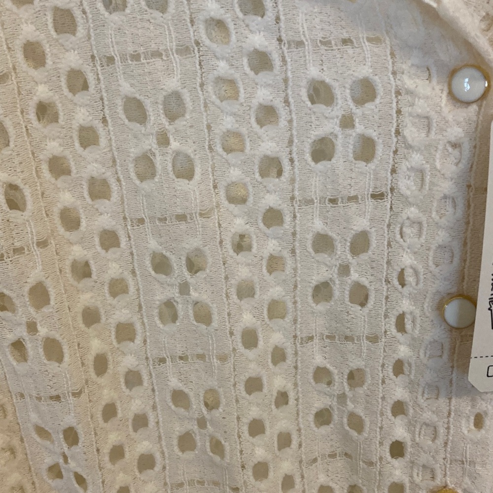 Artelier Nicole Miller Cream Lace Button Down Shirt - Picture 7 of 10